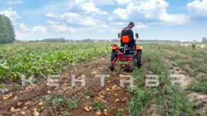 Минитрактор Кентавр Т-4 LITE 6+2 (Toyokawa) STD agri 5,00-12 / 9,50-16 + (фреза/плуг)