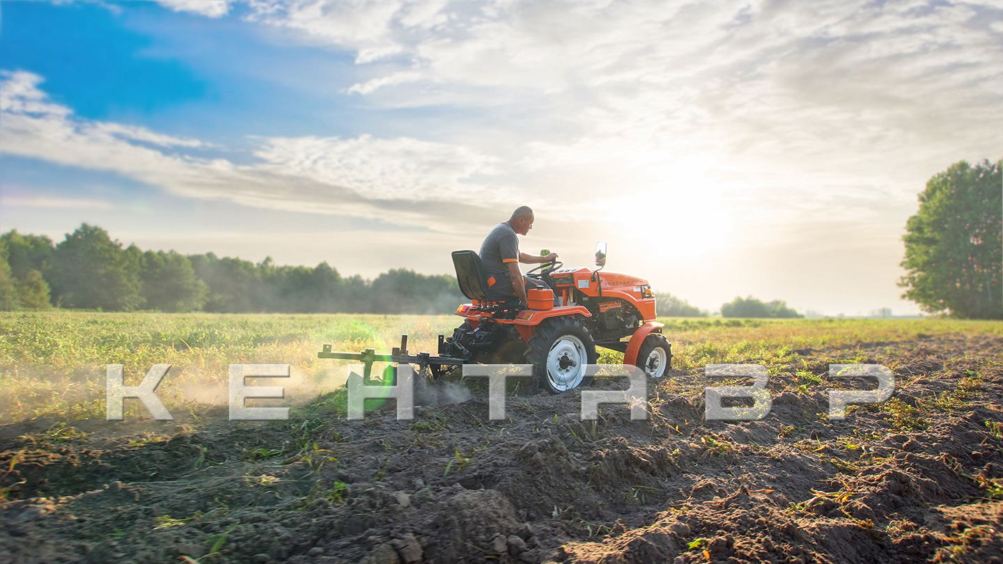 Минитрактор Кентавр Т-5 LITE 6+2 (Toyokawa) STD agri 5,00-12 / 6,50-16 + (фреза/плуг)